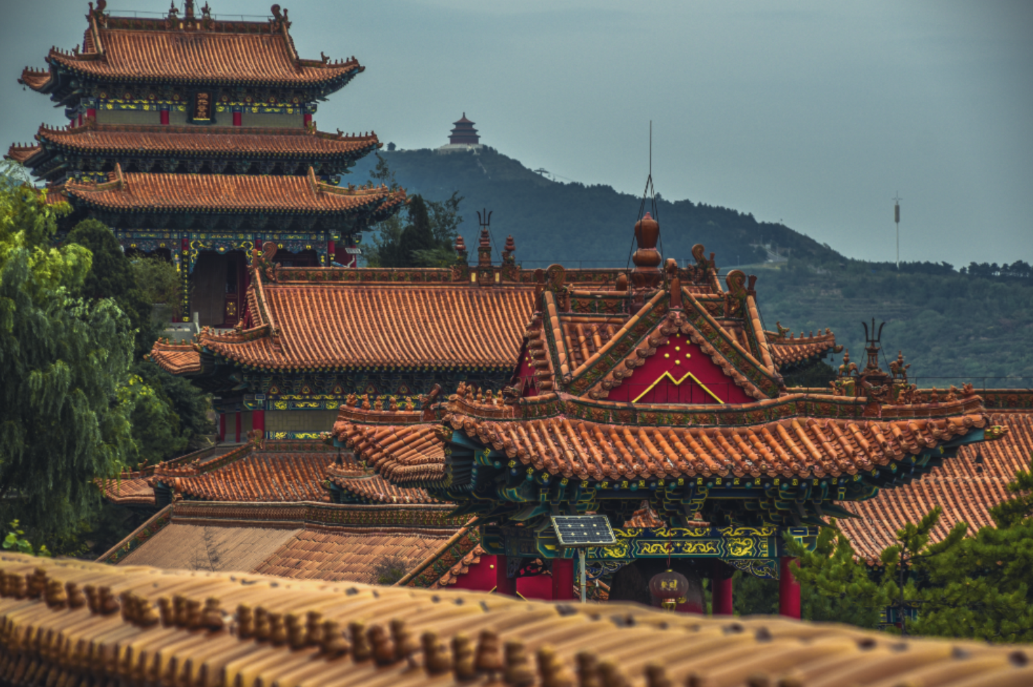 OE-A at ICFPE 2023, China 